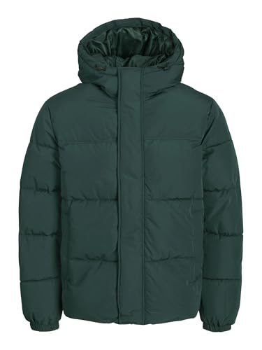 JACK & JONES JJEBRADLEY Puffer Hood SN von JACK & JONES