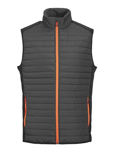 JACK & JONES Male Steppweste Steppweste von JACK & JONES