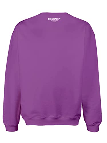 JACK & JONES Men's JORCLAN Sweat Crew Neck Sweatshirt, Deep Lavender, L von JACK & JONES