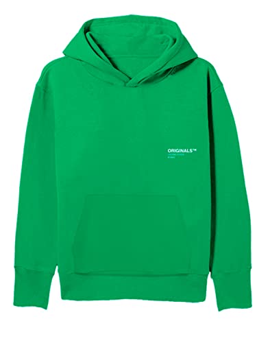 JACK & JONES Men's JORCLAN Sweat Hood Kapuzenpullover, Island Green, M von JACK & JONES