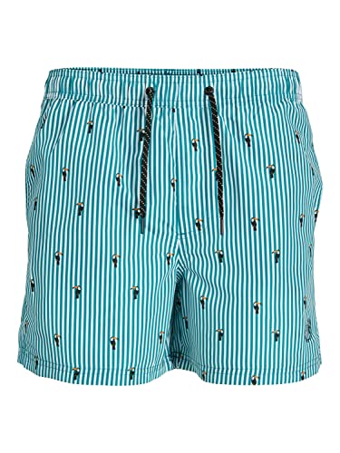 Jack & Jones Fiji Mini Stripe Badeshort Herren - S von JACK & JONES