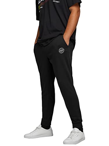 JACK & JONES Male Jogginghose Regular Fit Jogginghose von JACK & JONES