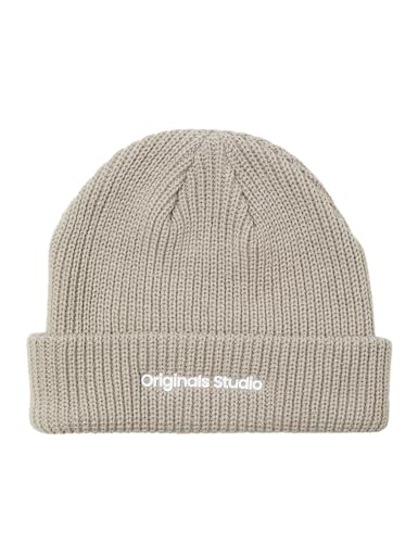 JACK & JONES JACVESTERBRO Beanie NOOS12261001,Moonbeam,Einheitsgröße von JACK & JONES