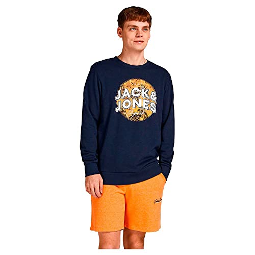 JORBLOOMER Sweat Crew Neck JORBLOOMER Sweat Crew Neck von JACK & JONES