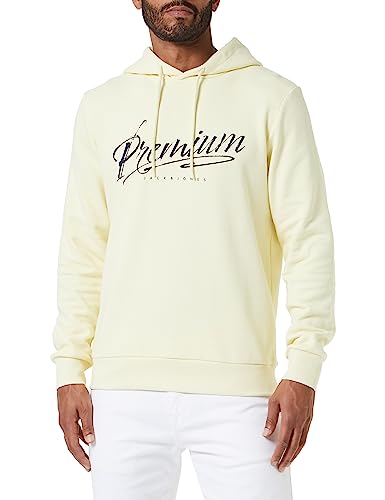 JPRBLABOOSTER Sweat Hood JUN23 von JACK & JONES