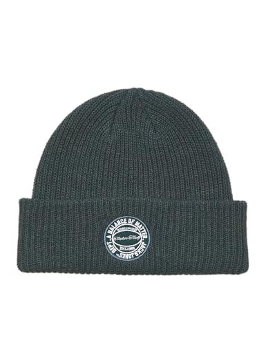JACK & JONES Herren Jaclotus Beanie Styd Aw24, Forest River, One Size von JACK & JONES