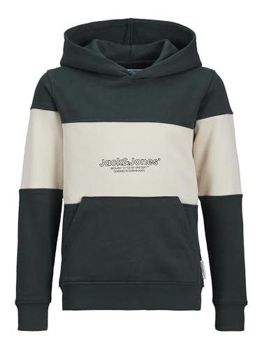 Jack & Jones JORLAKEWOOD Block Sweat Hood BF JNR von JACK & JONES