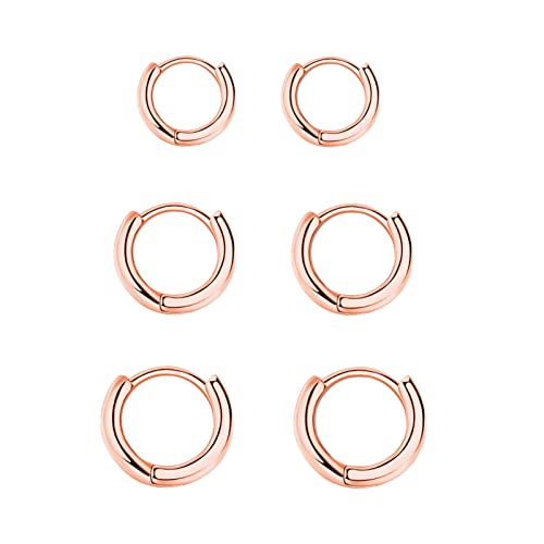 Creolen Silber 925 Klein Ohrringe Rosegold Set für Damen Mädchen,3 Paar Helix Piercings Creolen Rosegold Ohrringe für Damen Herren Ohrringe Nase Lippenringe 8mm 10mm 12mm von GMEDRIDAS