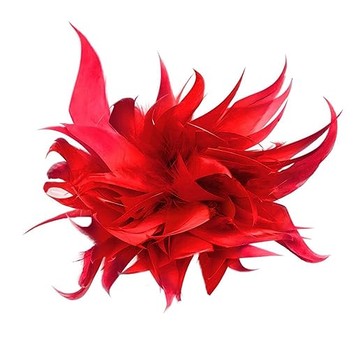 Elegant Damen Brosche, Natürliche Feder Brosche Flauschige Feder Ansteckbrosche Vintage Federbrosche für Kleid Kleidung Dekorative Pin Bekleidungs Party Schmuck Elegant Damen Brosche, Natürliche Feder Brosche Flauschige Feder Ansteckbrosche Vintage Federbrosche für Kleid Kleidung Dekorative Pin Bekleidungs Party Schmuck von JAWSEU