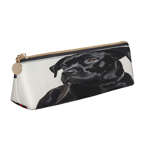 JAYWIS Federmäppchen aus Leder, dreieckig, für Schule, Büro und Reisen, hochwertiger Reißverschluss, Schwarz, weiß, Einheitsgröße, Taschen-Organizer von JAYWIS