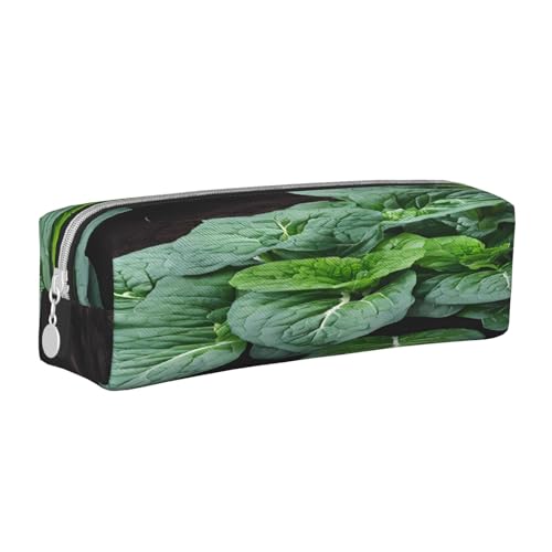 JAYWIS Federmäppchen aus Leder mit Reißverschluss, handgefertigt, mit Sukkulenten, kompakt für Schule, Büro und Reisen, Grün, weiß, Einheitsgröße, Kosmetikkoffer von JAYWIS