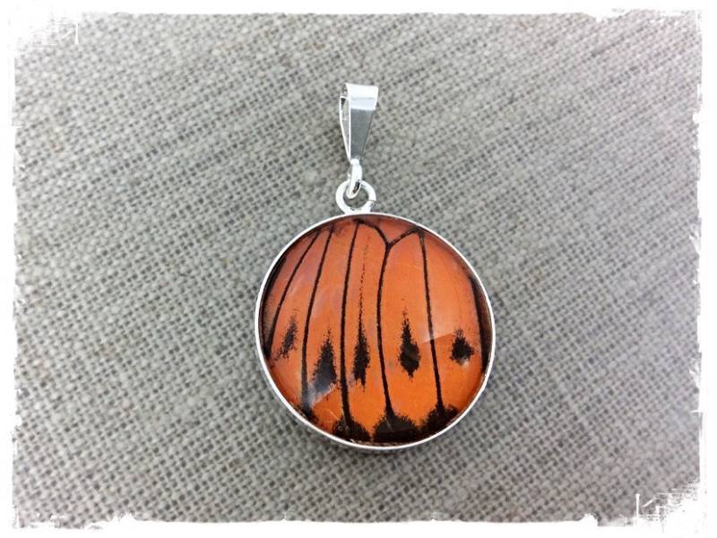 Echte Schmetterling Flügel Schmuck, Schmetterling, Hembomoia, Anhänger, Insekt Fehler Schmuck von JBirdsPerch
