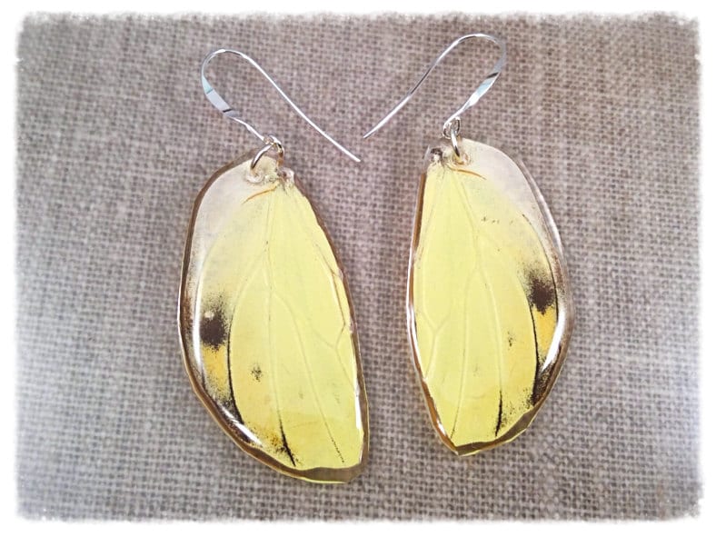 Echter Schmetterling Flügel Schmuck; Statement Ohrringe; Insekt Schmetterlingsohrringe; Gelb; Schwarz; Hand Geschnitten; Schmuck-Unikate Echter Schmetterling Flügel Schmuck; Statement Ohrringe; Insekt Schmetterlingsohrringe; Gelb; Schwarz; Hand Geschnitten; Schmuck-Unikate von JBirdsPerch