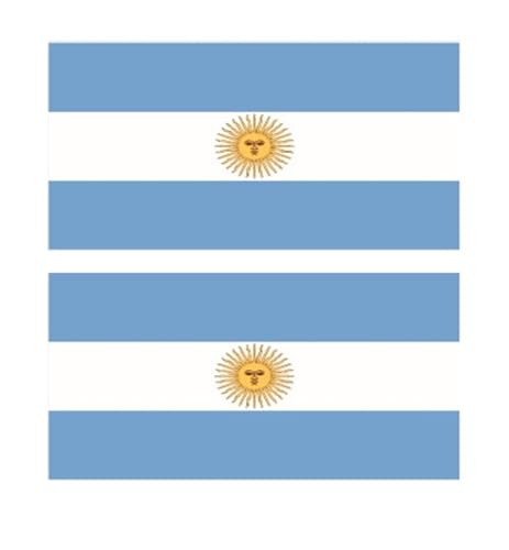 10 Stück 60 x 80 mm, wasserdicht, Einweg-Fußball-Fan-Flagge, temporäre Tätowierung, Gesichts-Patch (Color : Argentina, Size : A) von JCUIyon