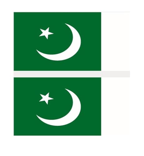 10 Stück 60 x 80 mm, wasserdicht, Einweg-Fußball-Fan-Flagge, temporäre Tätowierung, Gesichts-Patch (Color : Pakistan, Size : A) von JCUIyon