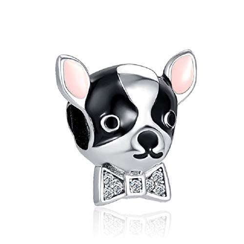 G 241 Charm Chihuahua Liebe, 925 Sterlingsilber, kompatibel mit Pandora Armband von JCaleydo