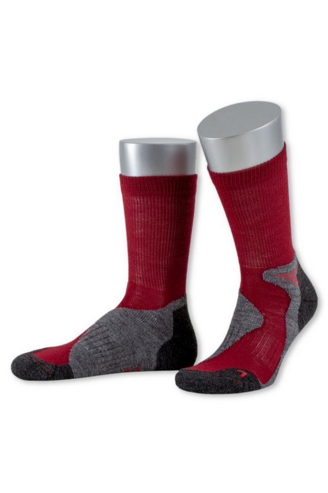 JD J. Dirks Wandersocken Wandersocken - OUTDOOR II - bordeaux, pink JD J. Dirks Wandersocken Wandersocken - OUTDOOR II - bordeaux, pink von JD J. Dirks