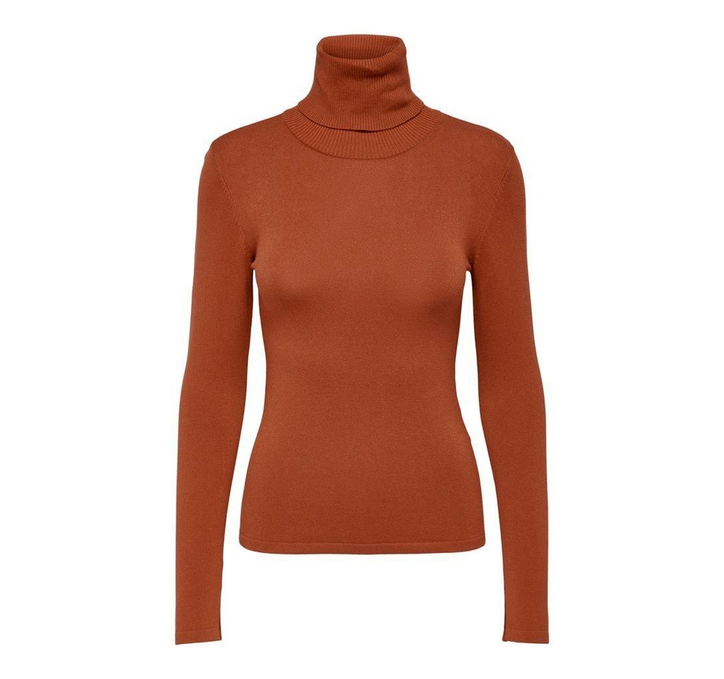 JDY Rollkragenpullover Dina (1-tlg) von JDY