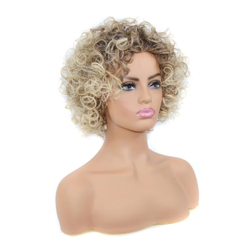 JECOMPRIS Kurze Afro Perücke Aus Hitzebeständigem Faserhaar Für Frauen Modische Damenperücke Für Alltag Und Besondere Anlässe von JECOMPRIS