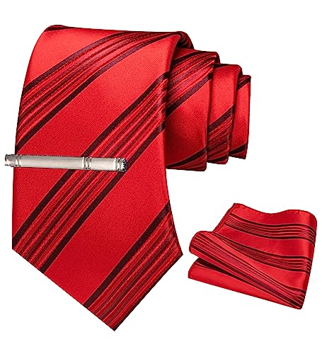 JEMYGINS Herren Gestreifte Krawatte mit Stickerei inklusive Taschentuch und Krawattenklammer Set Rot-burgunderfarbene Streifen von JEMYGINS