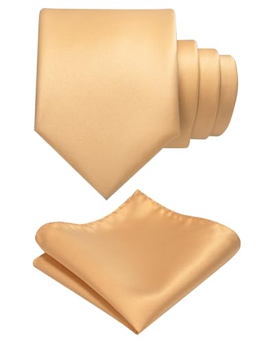 JEMYGINS Herren Krawatte mit Matte Oberfläche inklusive Einstecktuch Set in verschiedenen Farben Champagner Gold von JEMYGINS