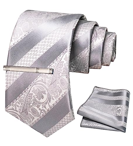JEMYGINS Herren Krawatten Set mit gemischtem Rosen und Streifenmuster inklusive Krawattenklammer und Taschentuch grau (graue Straße) von JEMYGINS