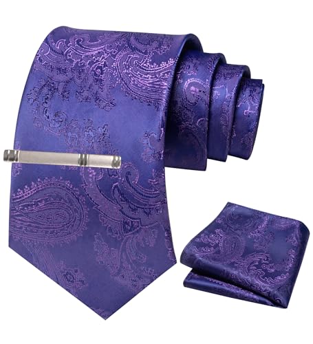 JEMYGINS Herren Paisley Krawatten set mit Krawattenklammer und Einstecktuch,Traubenblau, tiefes Violett von JEMYGINS