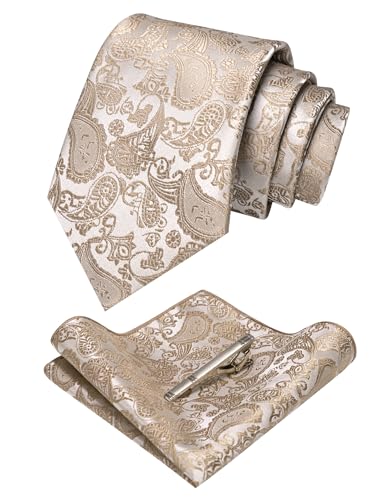 JEMYGINS graue Sandfarbe krawatte Paisley Seide Herren Krawatten und Einstecktuch mit krawattenklammer Sets von JEMYGINS