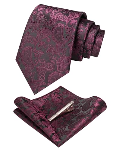 JEMYGINS violett krawatte Paisley Seide Herren Krawatten und Einstecktuch mit krawattenklammer Sets von JEMYGINS