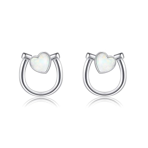 Hufeisen Ohrstecker 925 Sterling Silber Weiß Opal Glücks Pferde Ohrringe Hufeisen Schmuck Geschenk für Frauen Mädchen Pferde Liebhaberin Tochter von JERWLI