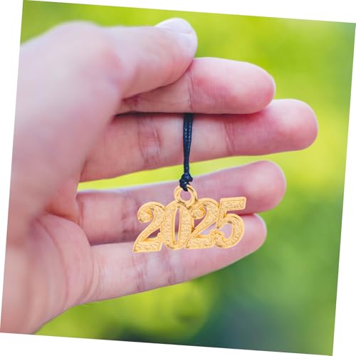 JEWEDECO 12stücke Zahlenanhänger Diy Schmuckherstellung Charms Neujahrsanhänger Für Halsketten Armbänder Schlüsselanhänger Zubehör von JEWEDECO