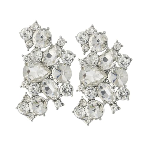JEWEDECO 2 Stück Strass Schuhclips für Damen Abnehmbare Schuhschmuck Schnallen mit Funkelndem Design für Hochzeiten Partys und Besondere Anlässe von JEWEDECO