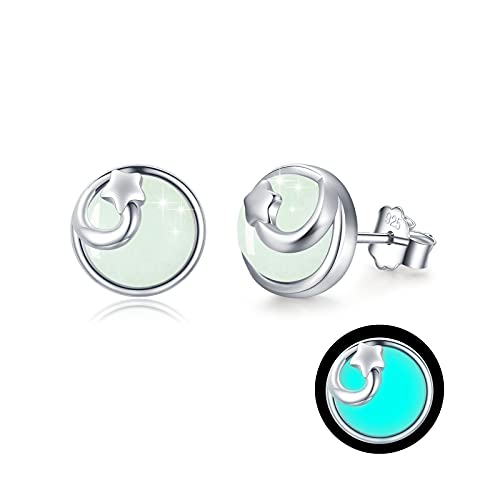 Damen Leuchtende Ohrstecker 925 Sterling Silber Stern Ohrringe Klein Nachtleuchtende Muttertags Weihnachts für Mädchen Frauen Kinder Mama Freundin Tochter von JFASHOP