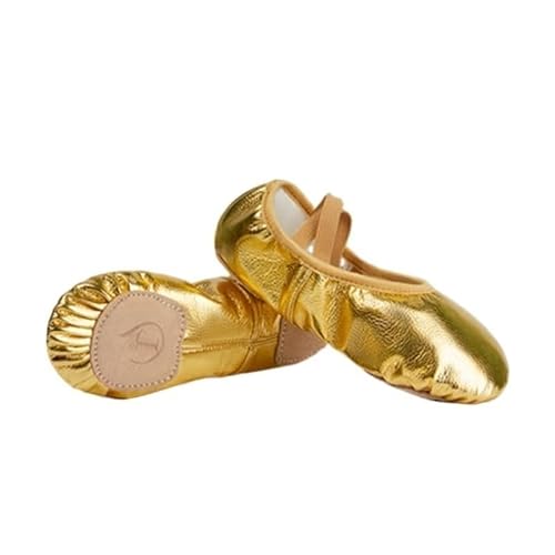 BDXMKS Ballettschuhe Mädchen Ballettschuhe Gold Silber Weiche Sohle Ballett Tanz Hausschuhe Kinder Üben Ballerina Schuhe Frau Gymnastik(Gold 2,24) von JFNKLFG