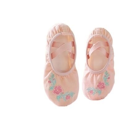 BDXMKS Ballettschuhe Mädchen Ballettschuhe Sticken Kinder Tanz Hausschuhe Geteilte Sohle Gymnastik Tanzschuhe Rosa Klassische Tanzschuhe(Flesh-2,30) von JFNKLFG