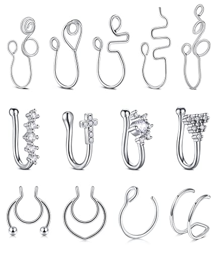 JFORYOU Fake Nasenringe Afrikanische Nose Cuff Fake Magnetische Septum Piercing Gefälschter Nasenring Multi Style Kein Piercing für Frauen und Männer Teenager Mädchen von JFORYOU