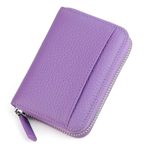 JINBIXIANGDJKS Kartenhalter Akkordeon-Kartenhalter Diebstahlsicherer Reißverschluss Münzkartenhalter Mehrfarbige Optionale Brieftasche(Lightpurple) von JINBIXIANGDJKS
