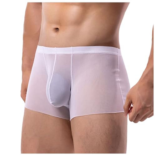 JISUXIAB Netz Mesh Boxershorts Herren Durchsichtige Retroshorts Transparent Atmungsaktiv Boxer Shorts Erotische Reizwäsche Sissy Dessous Sommer Boxer Briefs Sexy Mesh Unterhose Herren Weich von JISUXIAB