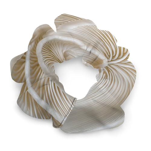 Haargummis, mit weißen Austernpilzen, bedrucktes Damen-Haargummi, nahtlos, schmerzfrei, perfekt für langlebige Zöpfe, Pferdeschwanz und mehr von JKLQWH