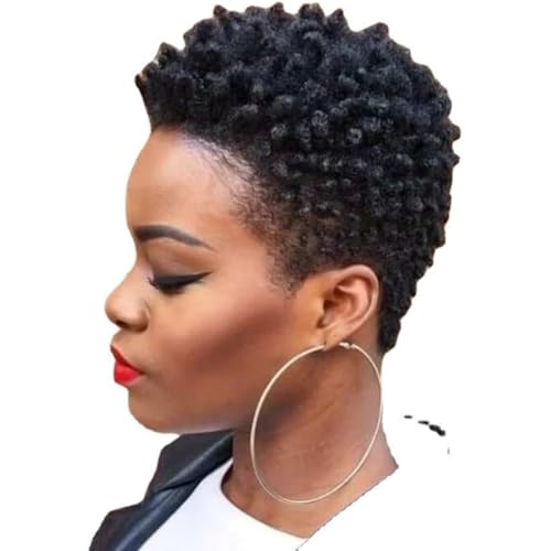 Kurze Lockige Perücken Afro Lockige Perücken für Frauen Flaumig Gemischt Farbe für Schwarze Frauen Kurze Haarperücken Geeignet für Den Täglichen Gebrauch,Schadet der Kopfhaut Nicht von JOCHEN