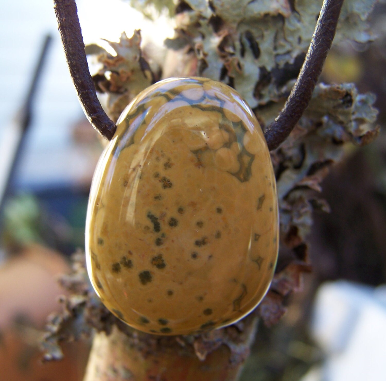 Ozean Jaspis Briolette, Schokobraune Lederkette Ozean Jaspis Briolette, Schokobraune Lederkette von JPGemJewels