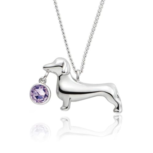 JPXXFM Dachshund Dog Pendant Necklace - Unique Clavicular Chain for Dog Lovers von JPXXFM