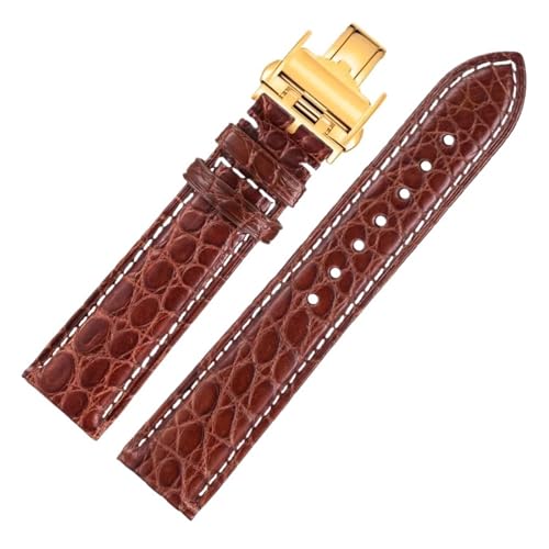 JPXXFM Krokodil Uhrenband kompatibel mit Master L2 L3 L4 L2.628 L2.673 Gurtarmband 19 mm 21 mm 22 mm (brauner Weißgold, 19 mm) von JPXXFM