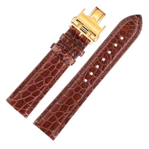 JPXXFM Krokodil Uhrenband kompatibel mit Master L2 L3 L4 L2.628 L2.673 Gurtarmband 19 mm 21 mm 22 mm (brauner Weißgold, 19 mm) von JPXXFM