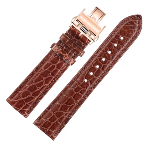JPXXFM Krokodil Uhrenband kompatibel mit Master L2 L3 L4 L2.628 L2.673 Gurtarmband 19 mm 21 mm 22 mm (brauner Weißgold, 19 mm) von JPXXFM