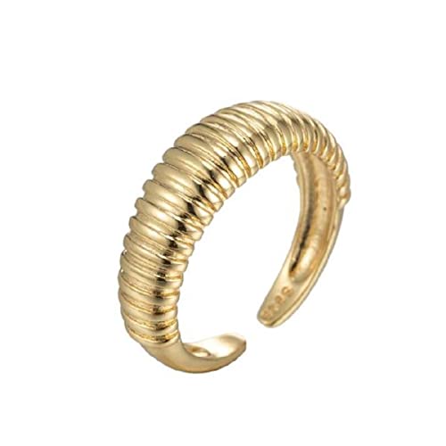 JPXXFM NEU WILD TOWGLING RING INS RETRO Einfache Spirale weibliche Nischentemperament Mode offener Ring Schmuck Weihnachtsfreund Geschenk Geschenk von JPXXFM