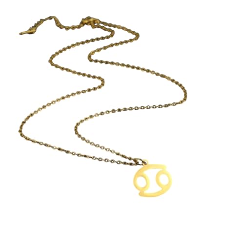 JPXXFM Schmuck Neue 2025 Ankunft 12 Sternhalter Halsketten für Frauen ihr Widder Capricorn Taurus Halsketten Ketten Choker Anhänger mit für Sie trendy kreatives Geschenkgeschenk von JPXXFM