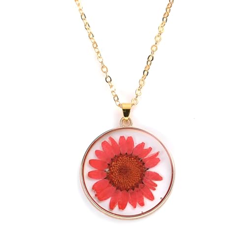 JQQJZLC Getrocknete gepresste Blumen für Frauen und Mädchen, transparent gefärbte Sonnenblumenheizenhänger Rund getrockneter Blütenglas Anhänger Halskette, Vergessen Sie mich nicht Halskette, von JQQJZLC