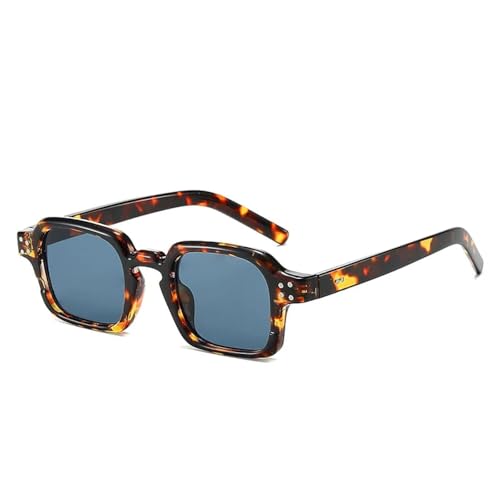 JRLLFD Modische Sonnenbrillen für Damen und Herren, Vintage, Luxus, für den Außenbereich, UV400 (Leopardengrau) von JRLLFD
