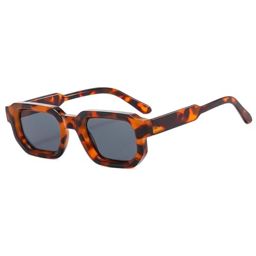 JRLLFD Retro-Sonnenbrille für Damen und Herren, modisch, transparenter Rahmen, UV400 (Leopardengrau) von JRLLFD